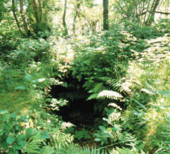 Brackloon Ringfort Souterrain