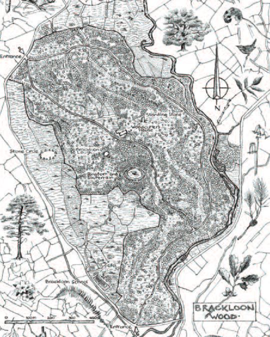 brackloon wood map