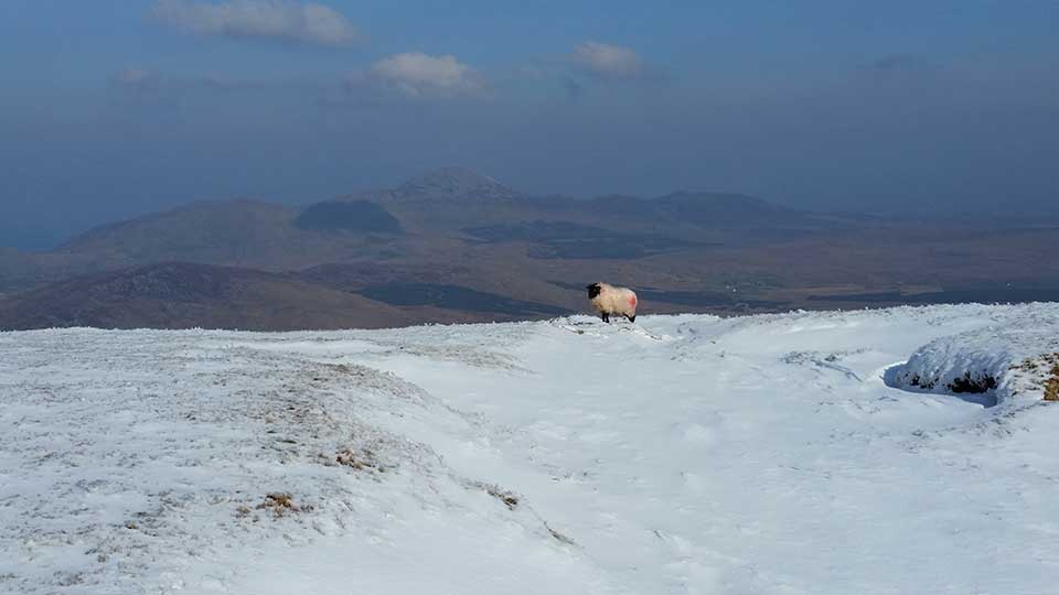 Barrclashcame Summit
